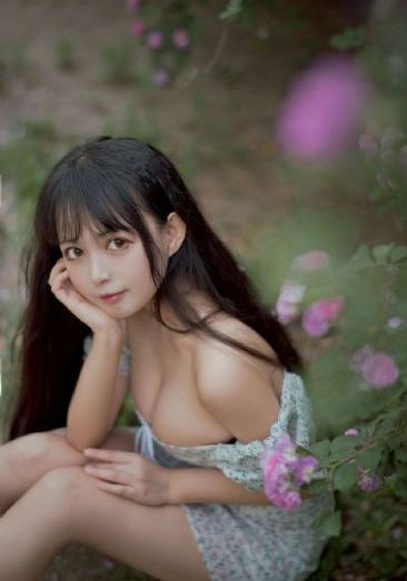 电视剧《风筝》免费_免VIP免费在线观看