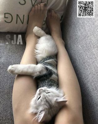 啄木鸟系列电影在线观看_1080HD在线观看