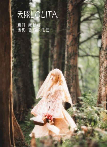 欲念之力 电视剧_蓝光免费观看最新