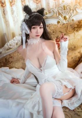 刺猬免费观看_蓝光在线观看高清